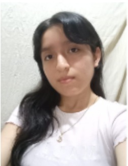 Professional portrait icon of Veyra team member Ariana Lizeth Ramirez Carrasco